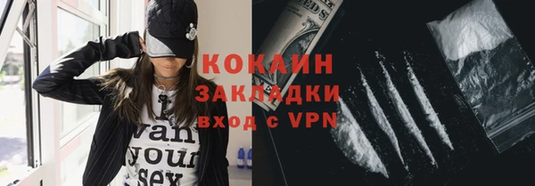 соль ск Алзамай