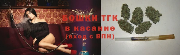 соль ск Алзамай