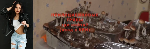 молекула духа Алексин