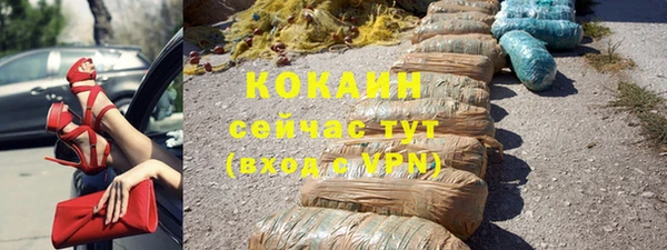 индика Алексеевка